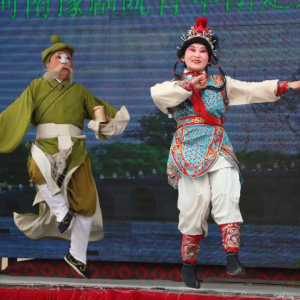 驻马店市正阳县：舞台艺术送基层 豫剧飘香润民心