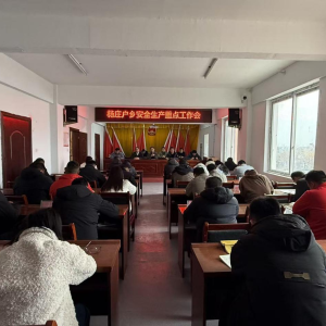 驻马店市新蔡县杨庄户乡：召开安全生产重点工作推进会