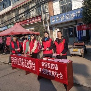 驻马店市新蔡县李桥回族镇开展平安建设、禁种铲毒、宪法等宣传活动