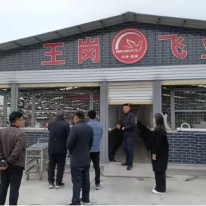 驻马店市新蔡县孙召镇：人大代表参观学习借鉴联络企业经验