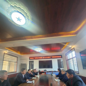 驻马店市正阳县政协调研乡村旅游发展 聚焦“中原第一寨”助力乡村振兴