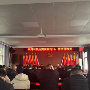 驻马店市新蔡县宋岗司法所：宪法精神入人心 普法护航强担当