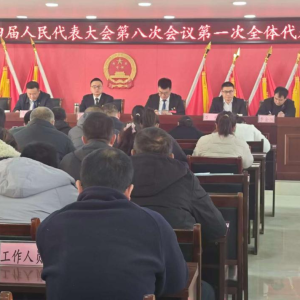 驻马店市新蔡县棠村镇第十四届人民代表大会第八次会议召开