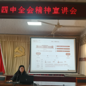 驻马店市新蔡县弥陀寺乡团委开展学习贯彻党的二十届四中全会精神青年宣讲