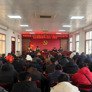 驻马店市新蔡县李桥回族镇开展关于加强元旦春节前后矛盾纠纷排查化解工作部署会