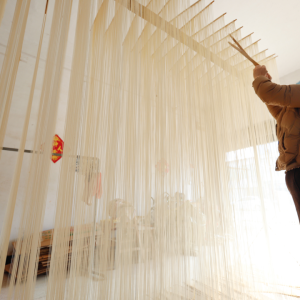 驻马店市正阳县千年空心挂面绕出乡村振兴“金丝路”