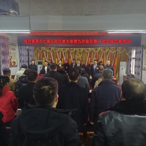 驻马店市新蔡县练村镇第十七届人民代表大会第九次会议胜利召开