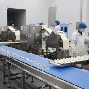 驻马店市正阳县：9条生产线全速运转 正鲜食品为县域经济注入新活力