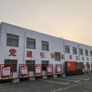 驻马店市正阳县唐段庄社区：党建引领筑堡垒 “五星”闪耀促振兴