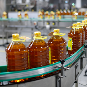 聚合“链”动能 拓展“群”版图 驻马店市正阳县全链条产业发展势头强劲