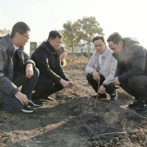 校地携手赋能乡村振兴 河南农大专家团赴正阳调研指导中药材产业发展