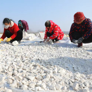 驻马店市正阳县雷寨镇关路口村：“三件套”香飘致富路