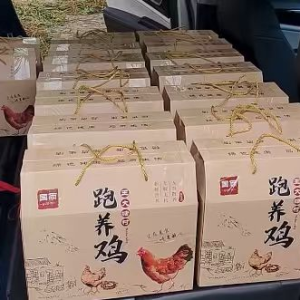 驻马店市正阳县熊寨镇：生态养殖唱响乡村振兴“致富曲”