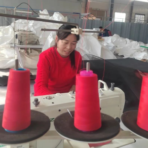 “筑巢引凤”“请能人回家”正阳县双轮驱动激活乡村产业振兴新动能