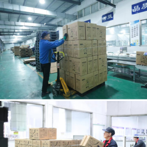 驻马店市正阳县：秒产9片！智能产线赶年忙