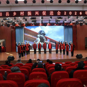 驻马店市正阳县：在乡村振兴促进会的道路上稳步前行