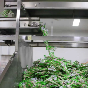 赶制“春日订单”驻马店市正阳县“乐媳妇”产销两旺