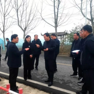 驻马店市正阳县“学理论 谋发展”文明实践主题活动理论宣讲走进慎水乡八里桥社区