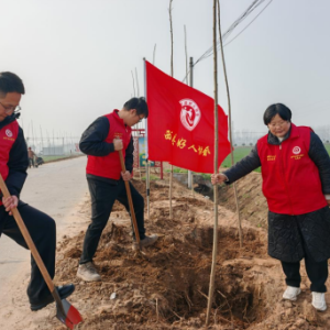 驻马店市西平县开展学雷锋义务植树活动