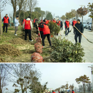 驻马店市正阳县清源街道：志愿红辉映高速路全员携手植新绿