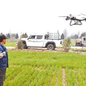 驻马店市确山县：沃野扎深根 田间育希望
