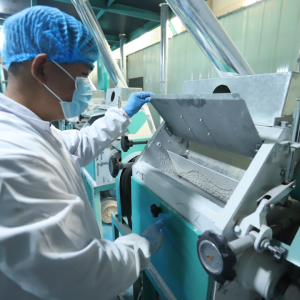 驻马店市正阳县王大塘村：乡村面粉厂飘出“原生态”面粉香 农户青睐