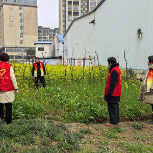 驻马店市正阳县真阳街道开展禁种铲毒宣传踏查活动