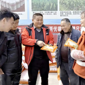 驻马店市正阳县：春分时节农事忙 科技赋能备春耕