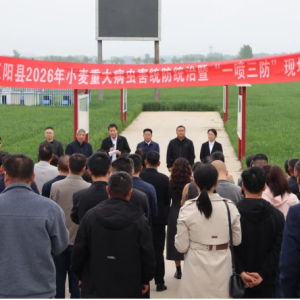 驻马店市正阳县2026年小麦重大病虫统防统治暨“一喷三防”现场会顺利召开